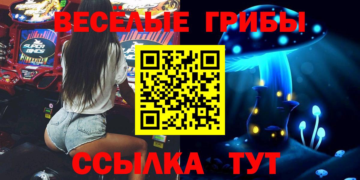 Псилоцибиновые грибы Psilocybine cubensis Клинцы